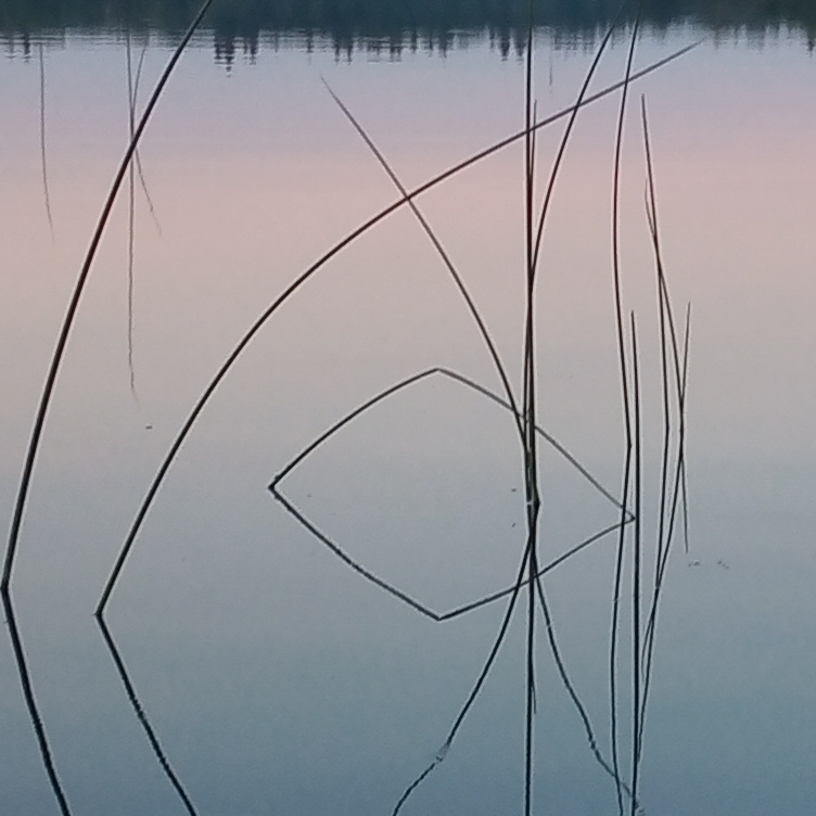 stick reflection water